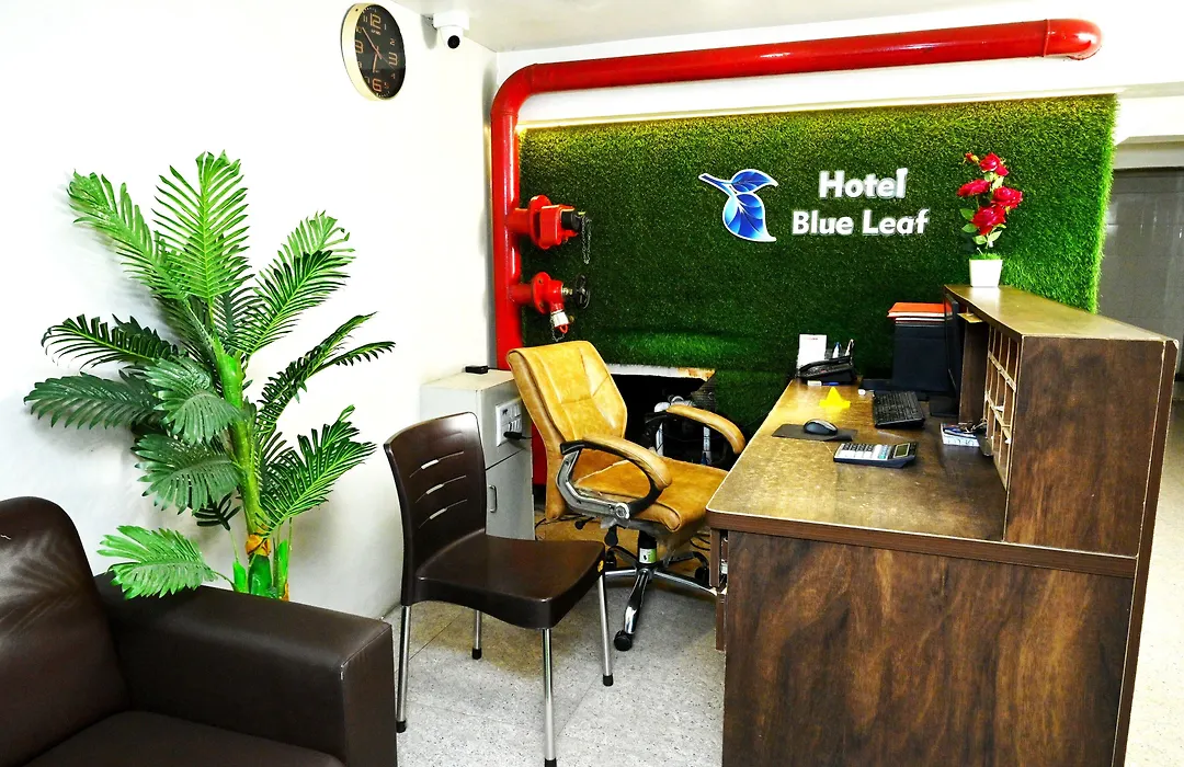 Hotel Blue Leaf-1