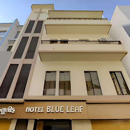 Hotel Blue Leaf-2